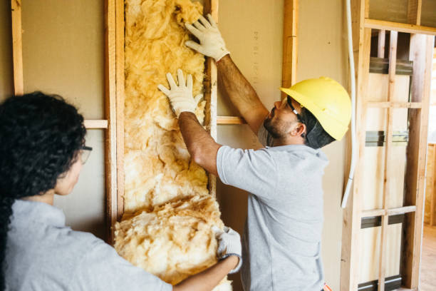 Best Energy-efficient Insulation  in Ford City, CA